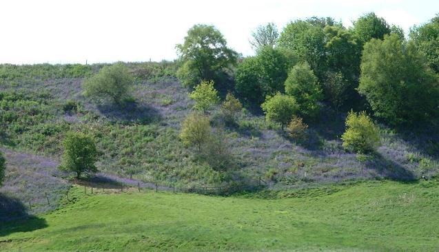 View of approach to Cornhills farmhouse.